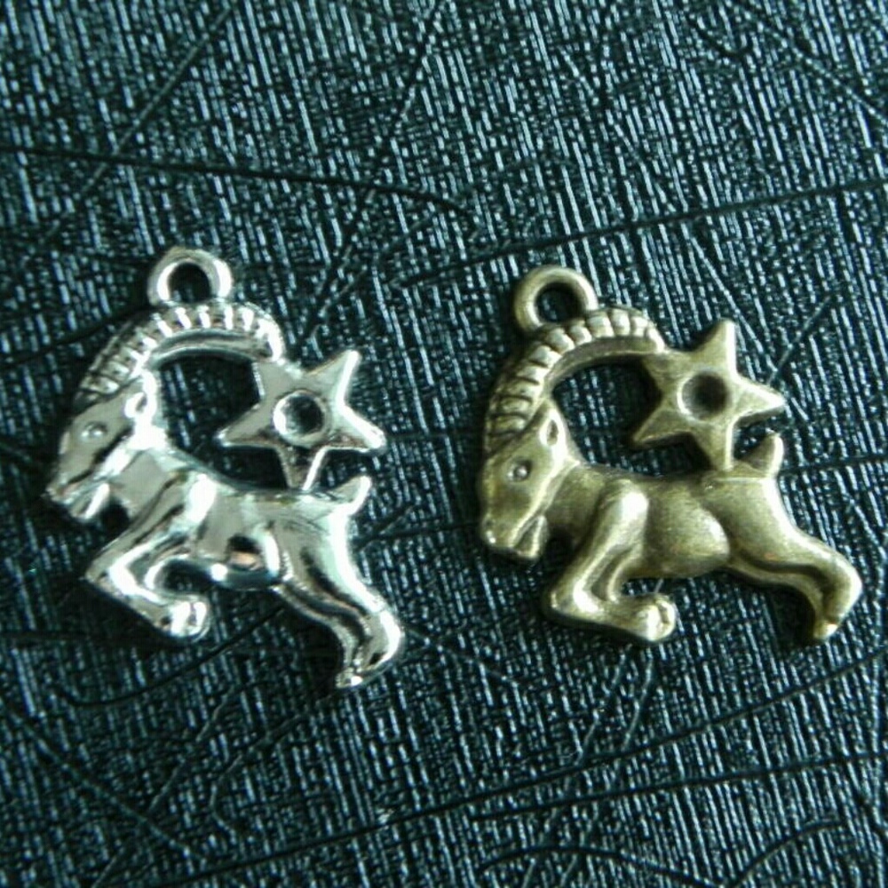Capricorn Zodiacal Sign Pendant